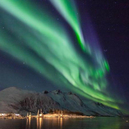 Arctic City Studio - Perfectly Located In The Main Street Tromso Exterior photo